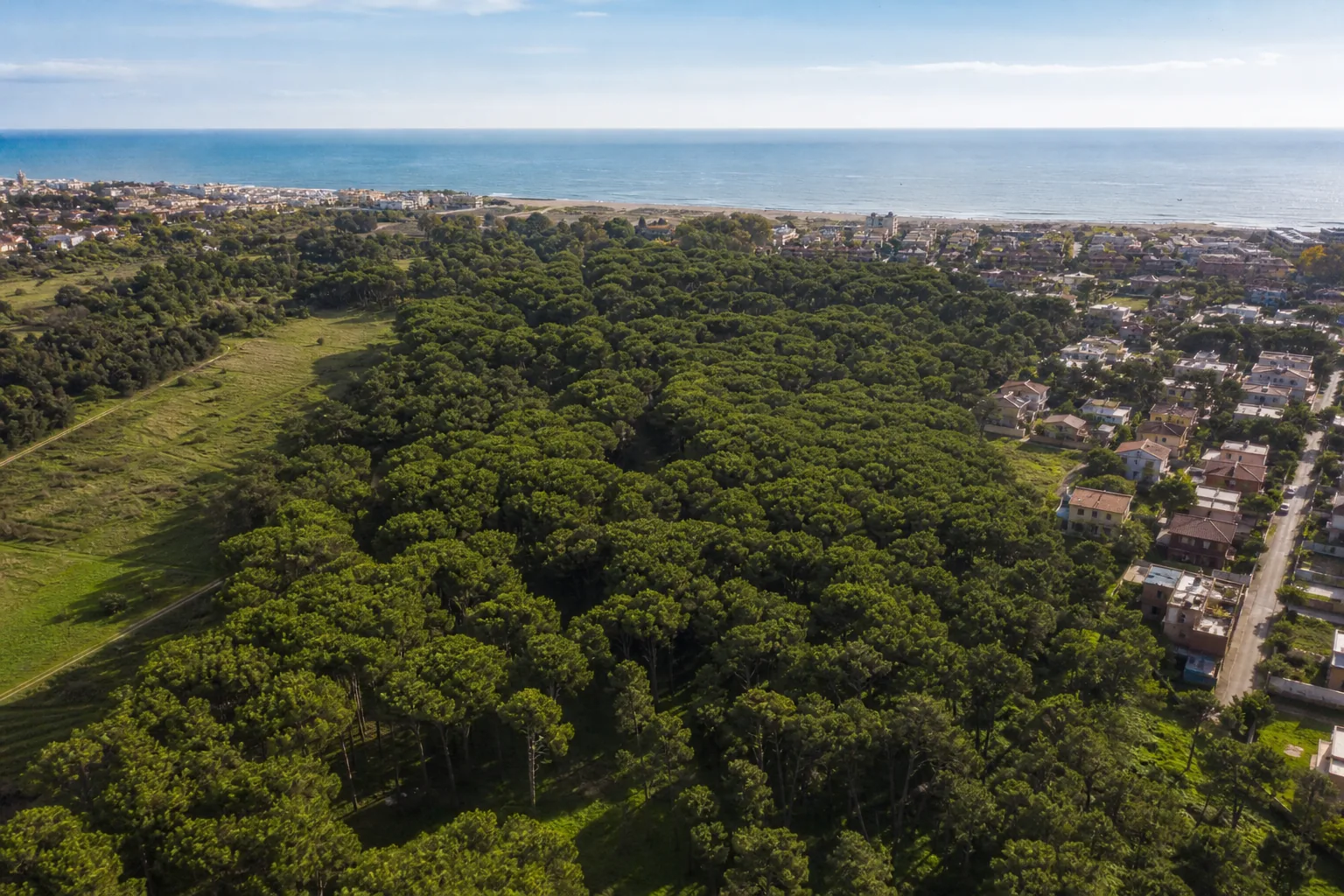 Bosco di Palo si espande: Ladispoli acquista 5 ettari per nuovo parco pubblico
