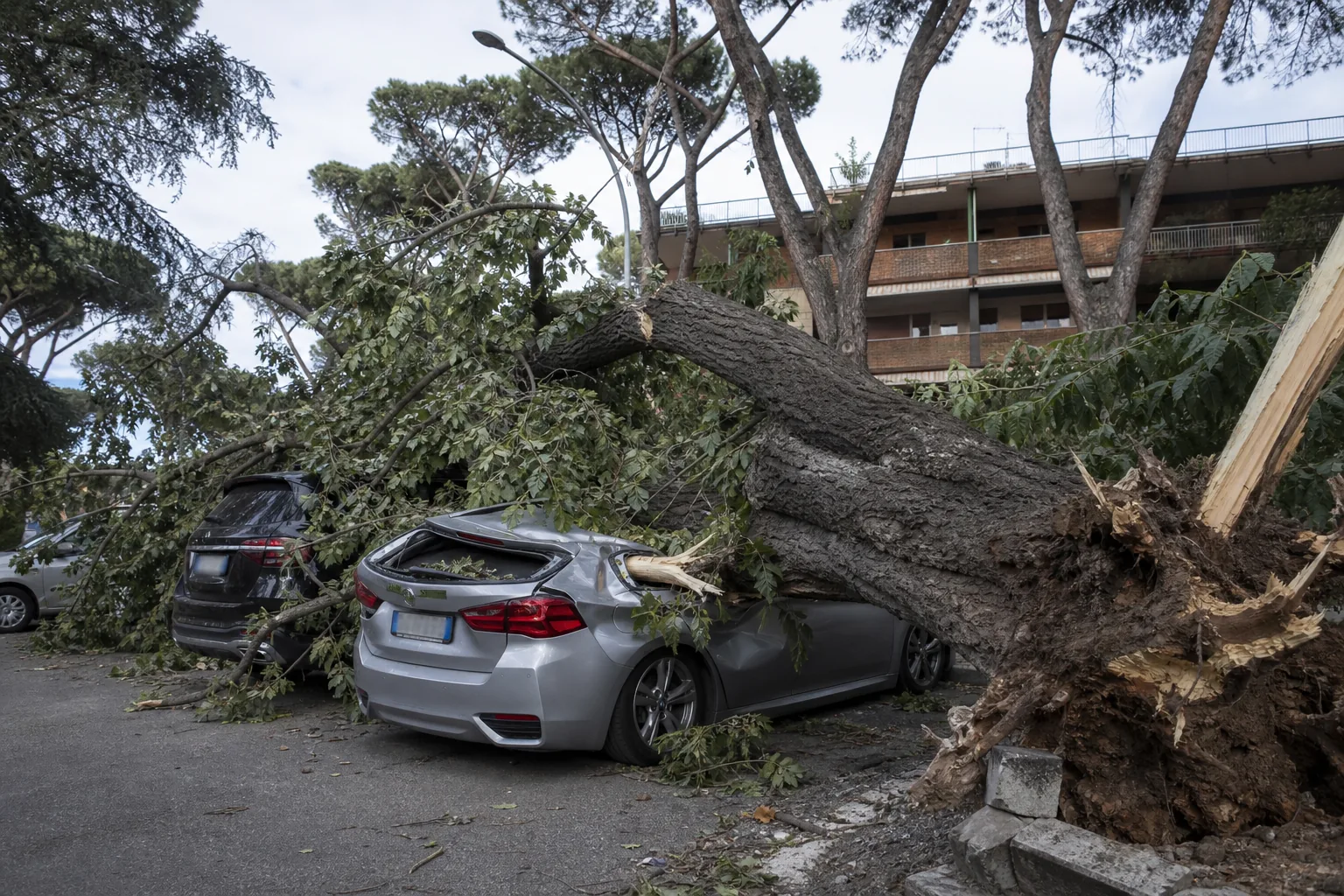 Albero crolla su auto a Ostia: i residenti avevano avvertito da mesi